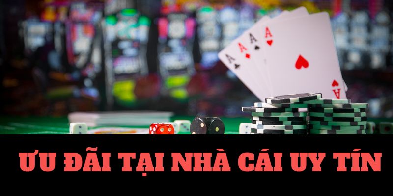 SBOTOP-Tận hưởng cảm giác tin cậy với trang cược xanh chín! SBOTOP-Tận hưởng cảm giác tin cậy với trang cược xanh chín!